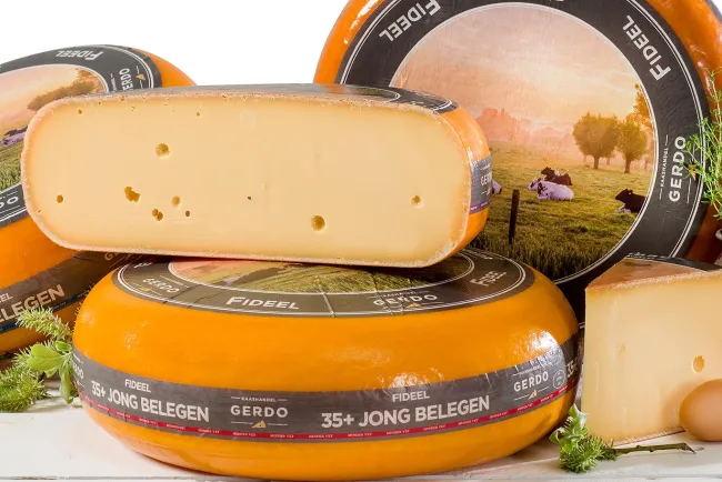 Hollandse Goudse kaas